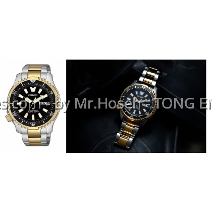 Citizen Fugu Asia Limited Edition Promaster Anniversary NY0094-85EB