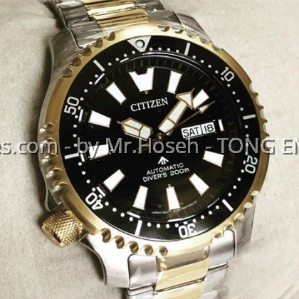 Citizen Fugu Asia Limited Edition Promaster Anniversary NY0094-85EB