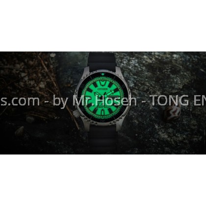 CITIZEN PROMASTER FUGU LIMITED EDITION LUME DIAL NY0119-19X