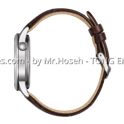 Citizen Open Heart Mechanical Men Watch NH9130-17A