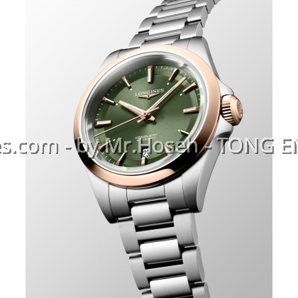 Longines Conquest 30mm 18K Cap Gold L33205026