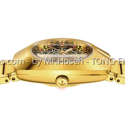 Rado DiaStar Lady Original Automatic Ceramos R12171653 Rado DiaStar Lady Original Automatic Ceramos R12171653