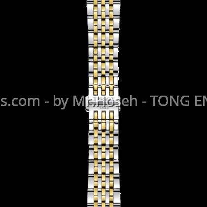 Tissot Le Locle 39.3mm T006.407.22.093.00 T0064072209300 Tissot Le Locle 39.3mm T006.407.22.093.00 T0064072209300