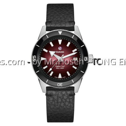 Rado Captain Cook 39mm Automatic Stainless Steel Watch R32223408 Rado Captain Cook 39mm Automatic Stainless Steel Watch R32223408