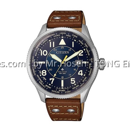Citizen Eco-drive Promaster Nighthawk BX1010-11L Citizen Eco-drive Promaster Nighthawk BX1010-11L
